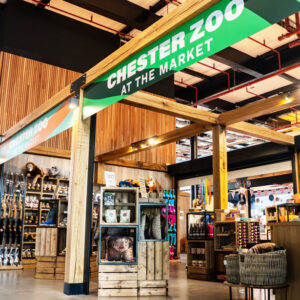 Chester-Zoo-at-the-Market-cubes
